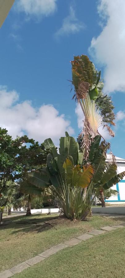 Karibbean Sweet Home Saint-Francois  Exterior foto
